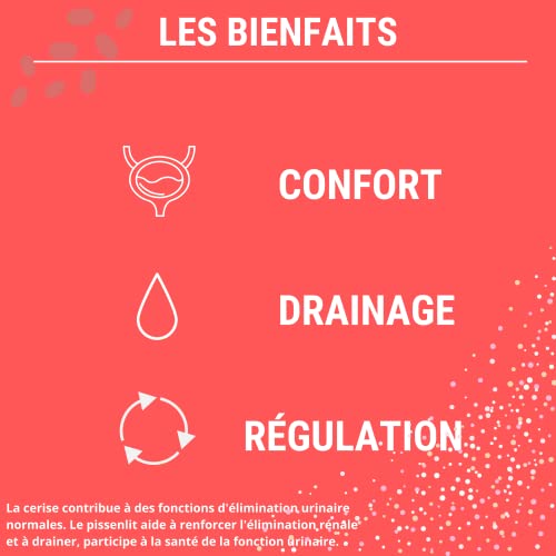 FORMULE CONFORT URINAIRE - Confort, Drainage, Régulation
