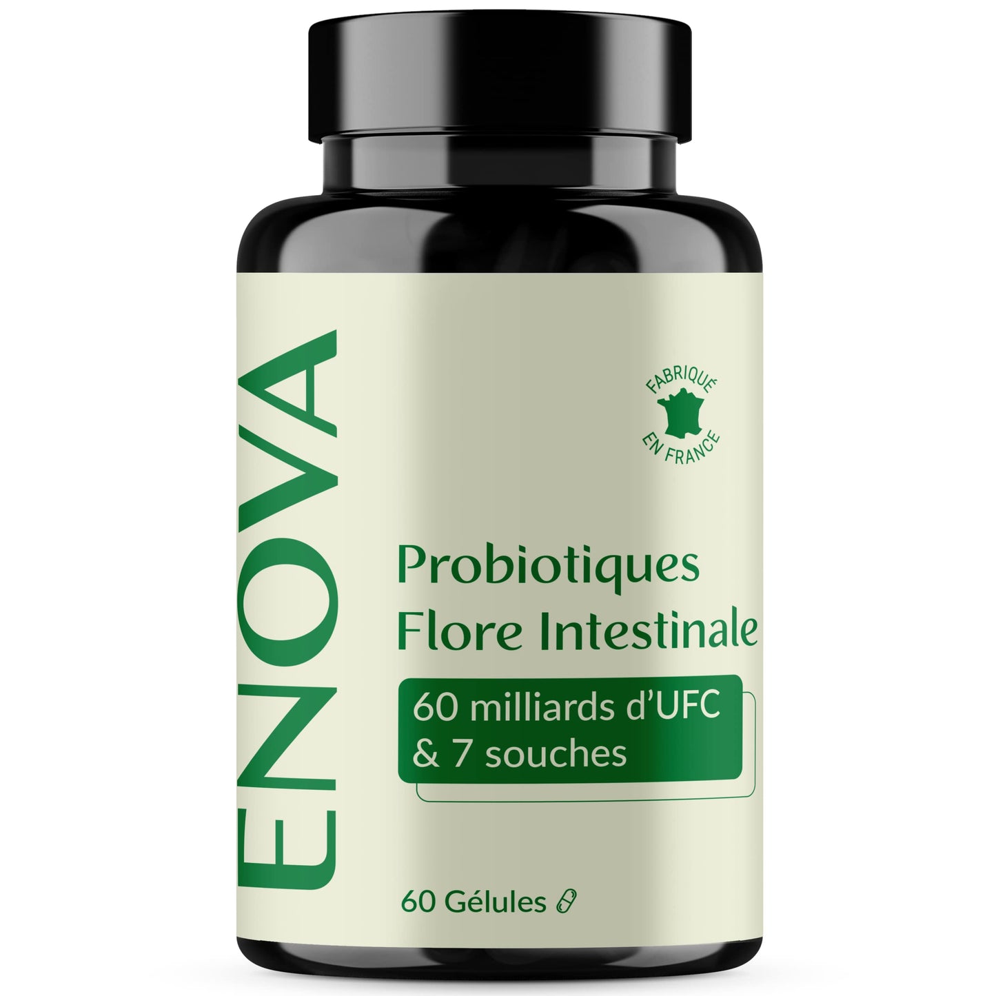 PROBIOTIQUE FLORE INTESTINALE - 7 Souches de Bactéries avec Lactobacillus & Bifidobacterium
