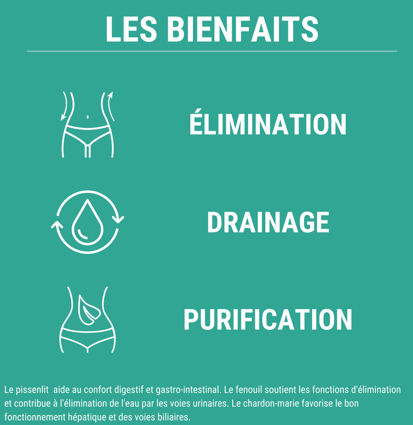 FORMULE DETOX - Détoxifiant Foie et Intestin