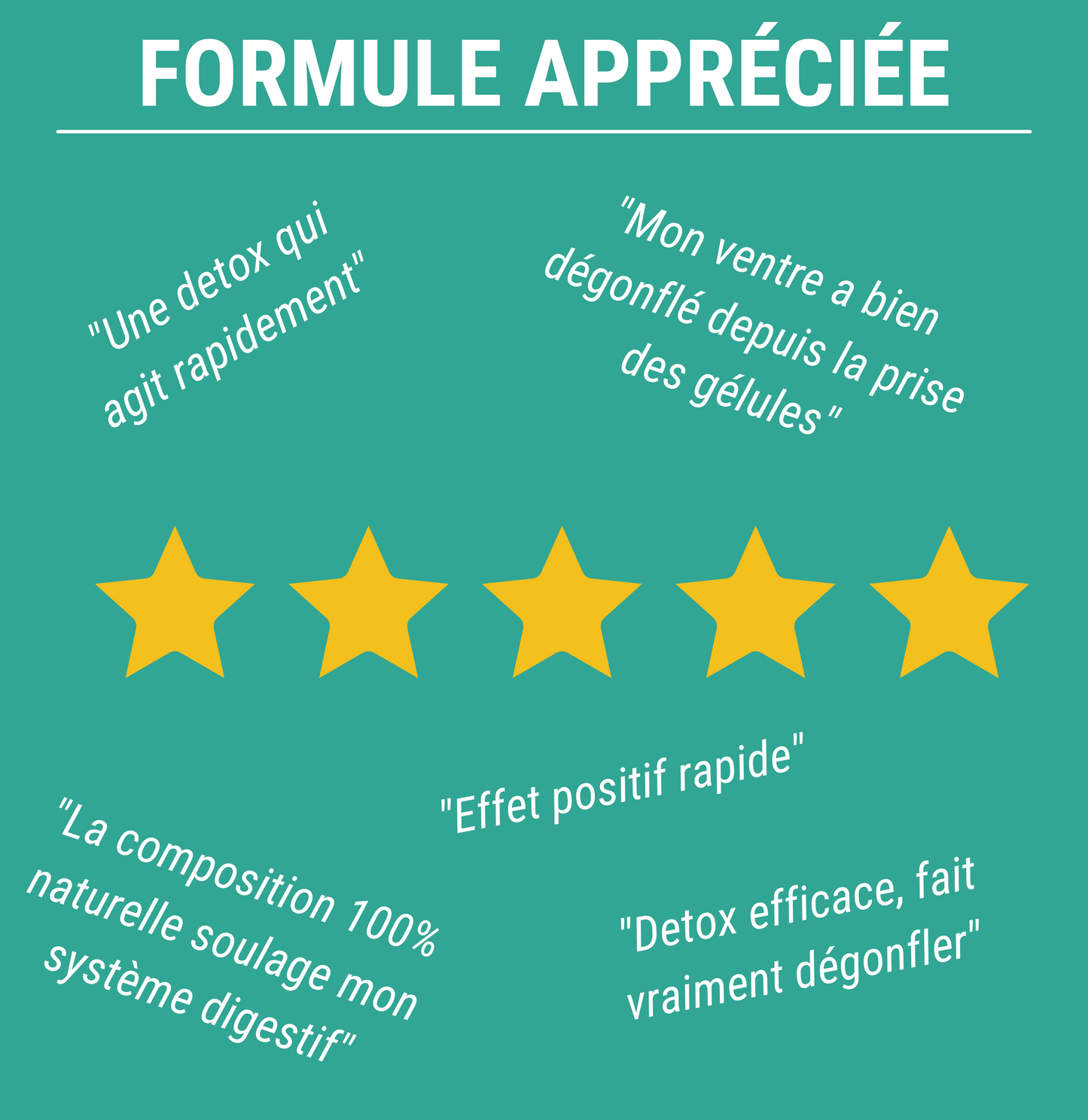 FORMULE DETOX - Détoxifiant Foie et Intestin