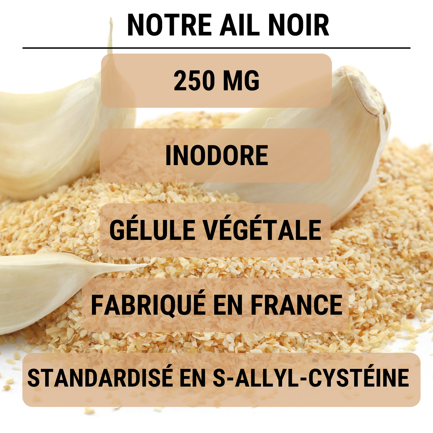 AIL NOIR FERMENTÉ - Standardisé en S-allyl-cystéine - Circulation Sanguine, Cœur