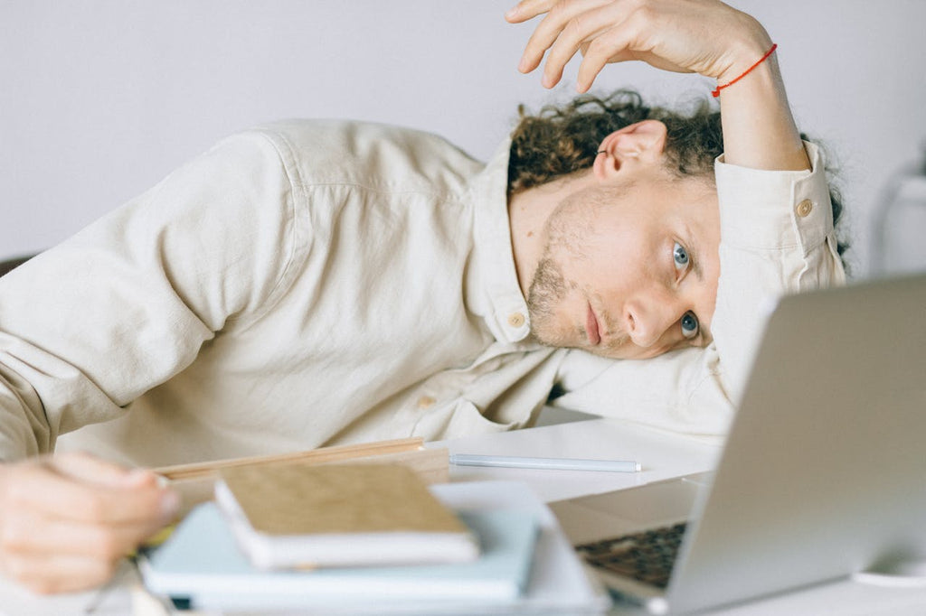 Fatigue, stress, manque d’énergie : les plantes adaptogènes les plus efficaces pour tenir le coup
