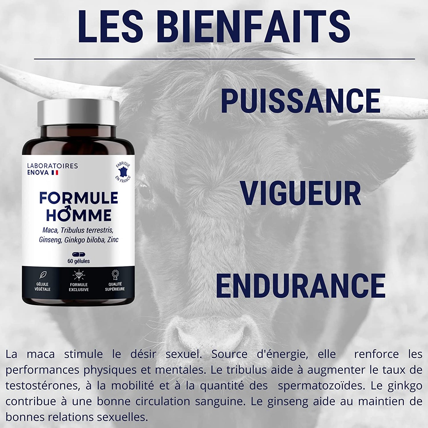 Formule HOMME - Vigueur, Puissance, Endurance