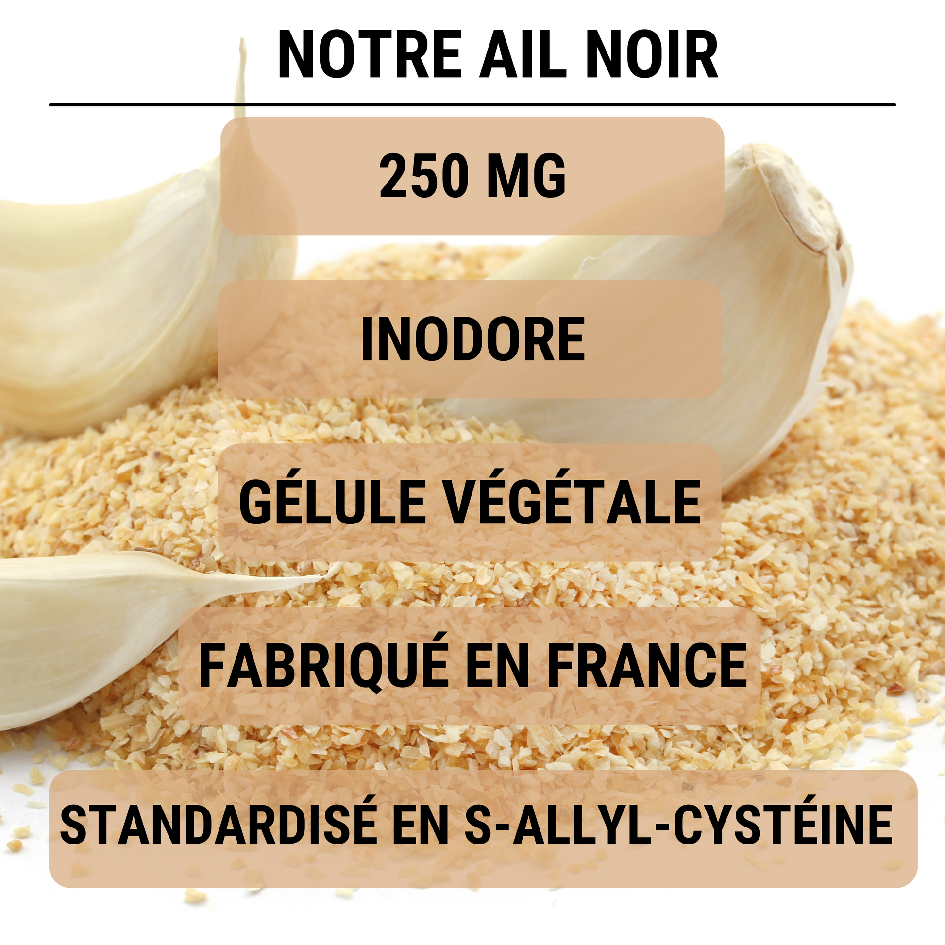 Extrait d'ail noir fermenté ABG25+® concentré en S-Allyl-Cystéine